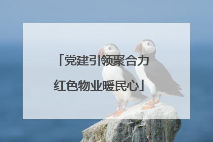 党建引领聚合力 红色物业暖民心